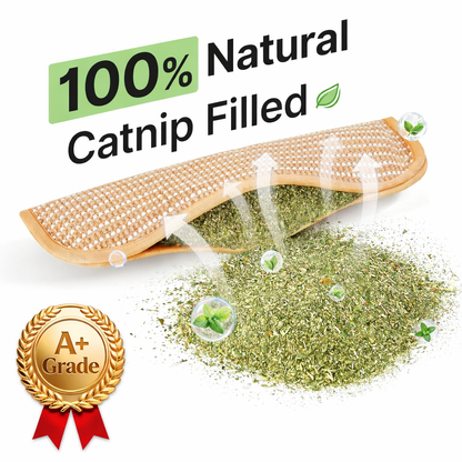 Catnip Craze Kicker