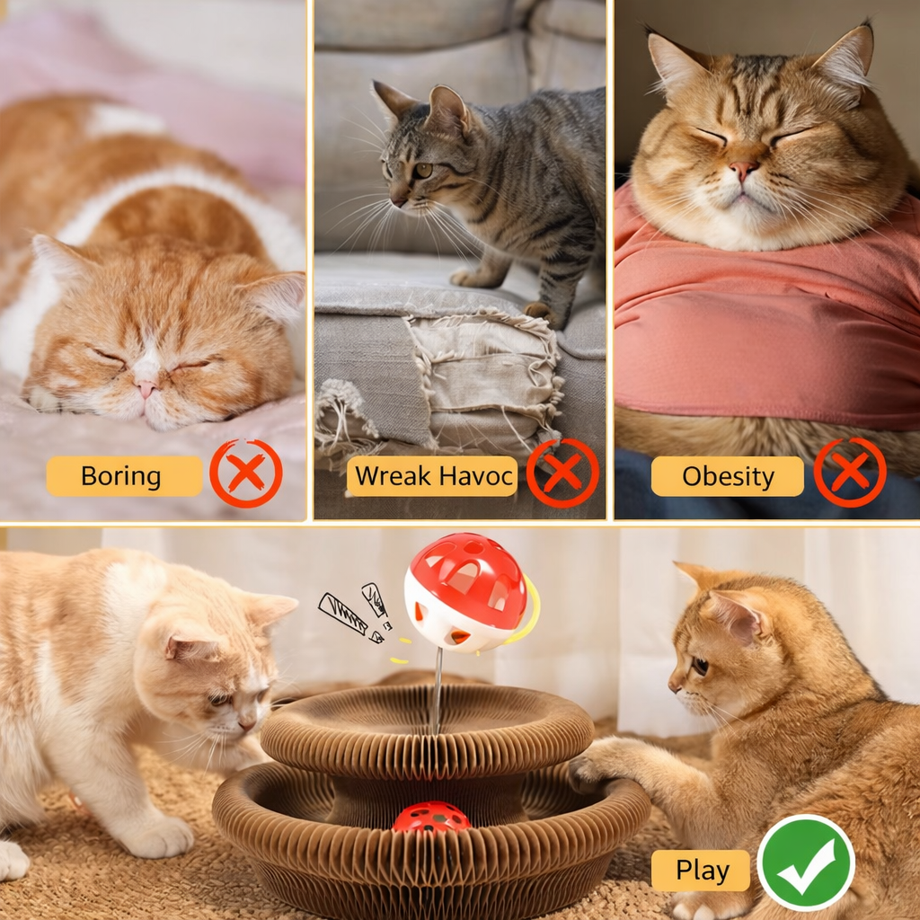 Shape-Shifting Accordion Cat Scratcher