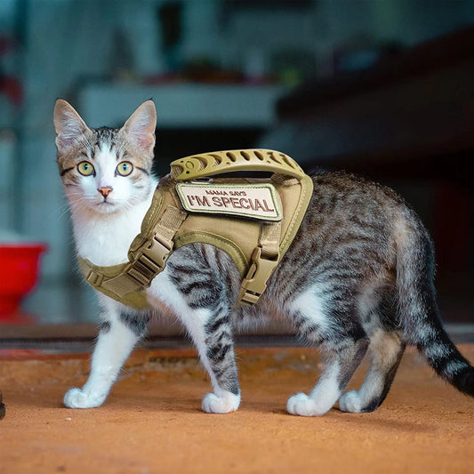 Tactical Escape-Proof Adventure Harness