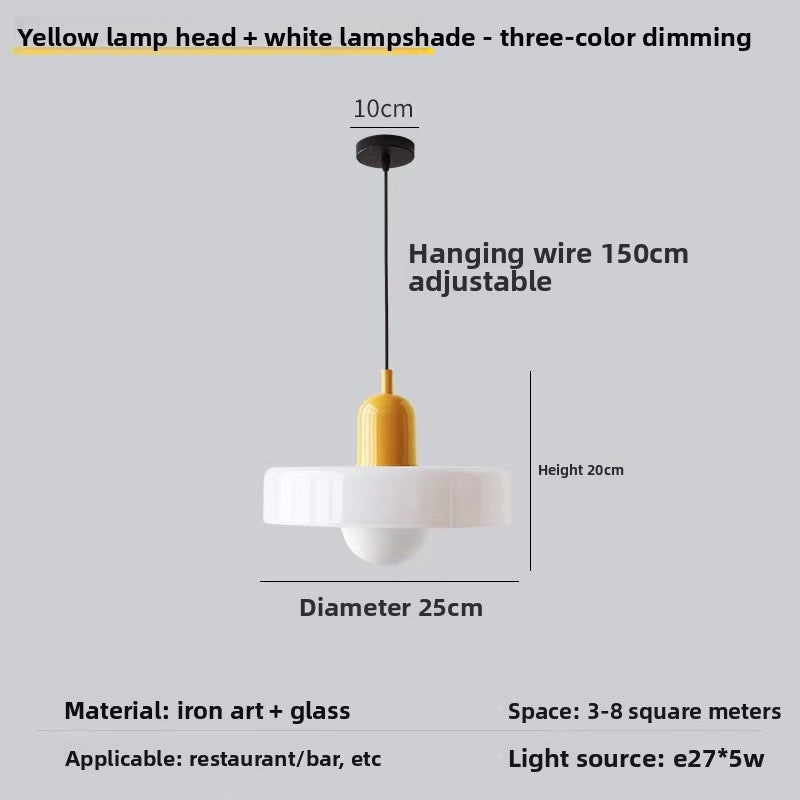 Vintage Glass Pendant Light with Adjustable Hanging Wire